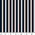 ruler cm