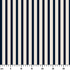 ruler cm