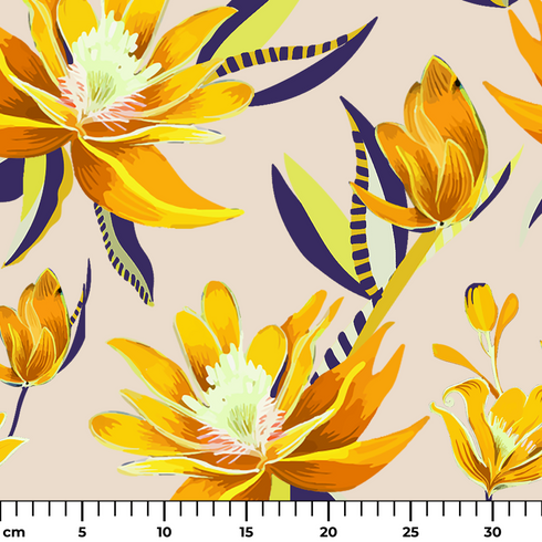 ruler cm