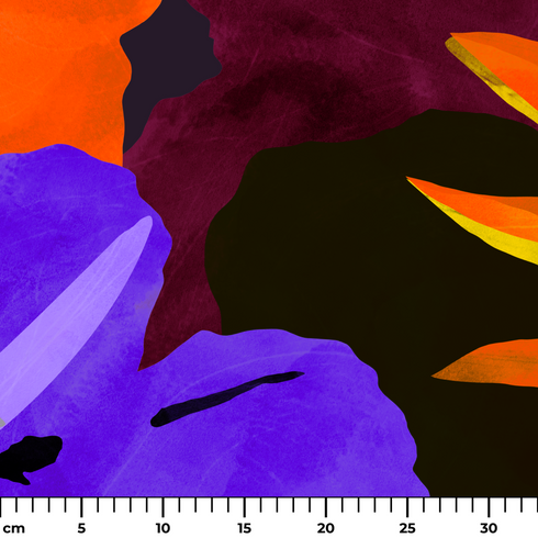 ruler cm