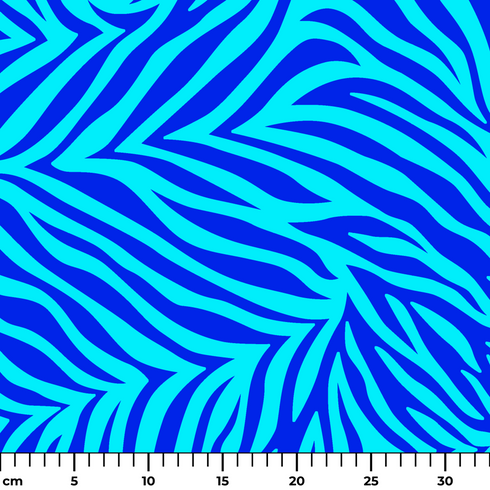 ruler cm