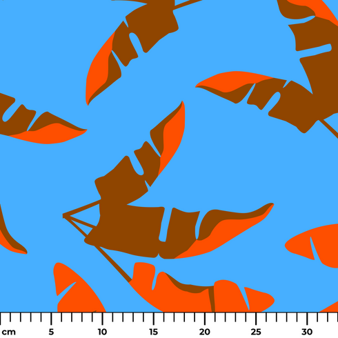 ruler cm