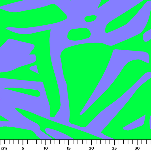 ruler cm