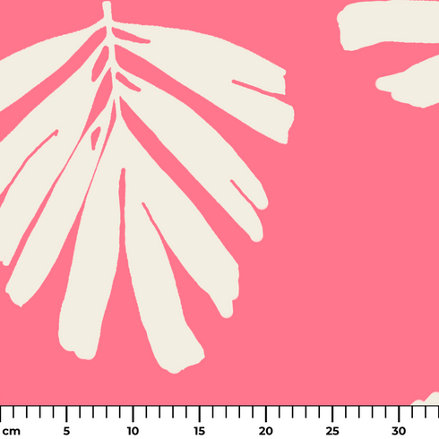 ruler cm