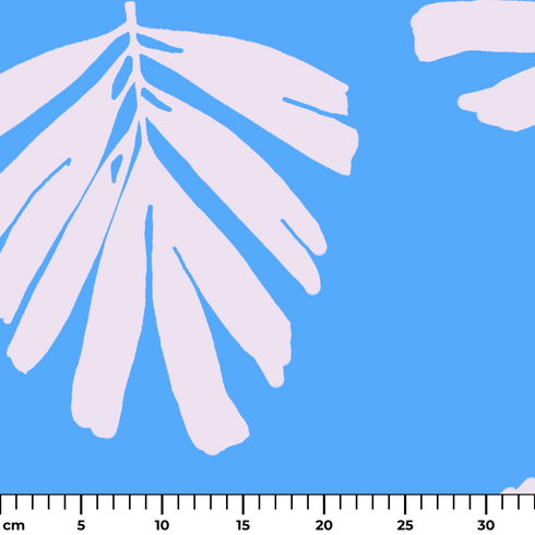 ruler cm