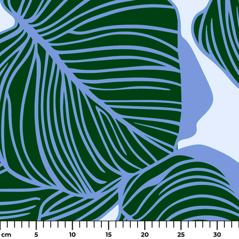 ruler cm
