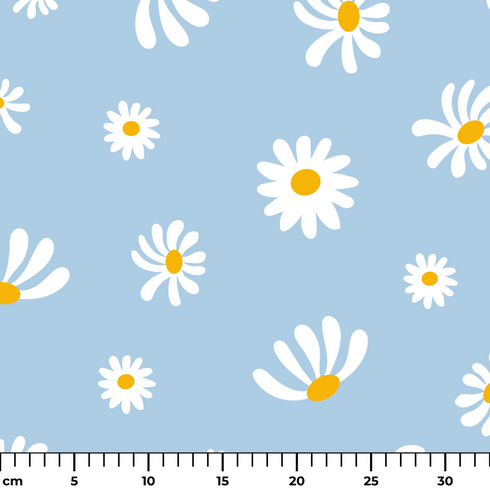 ruler cm