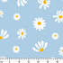 ruler cm