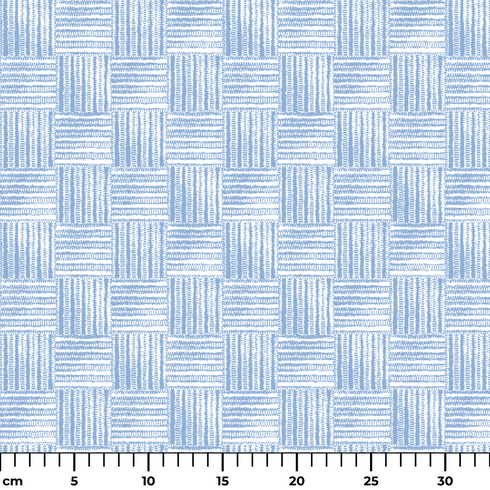 ruler cm