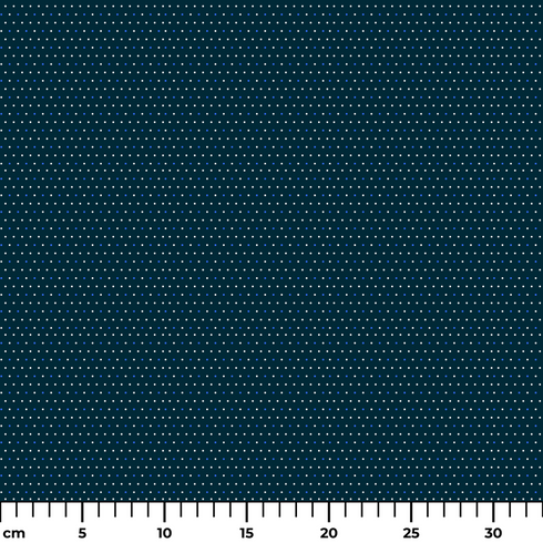 ruler cm