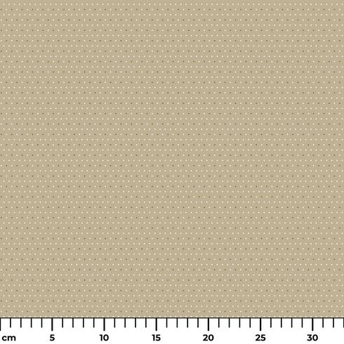 ruler cm