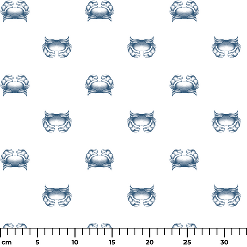 ruler cm