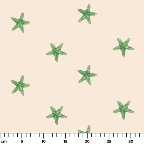 ruler cm