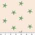 ruler cm