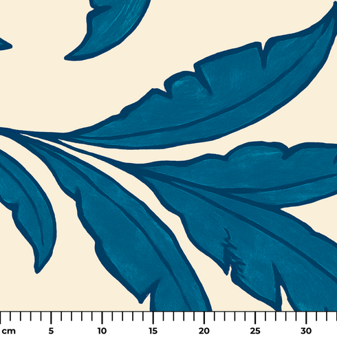 ruler cm
