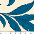 ruler cm