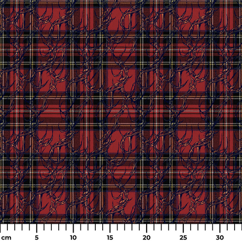 ruler cm