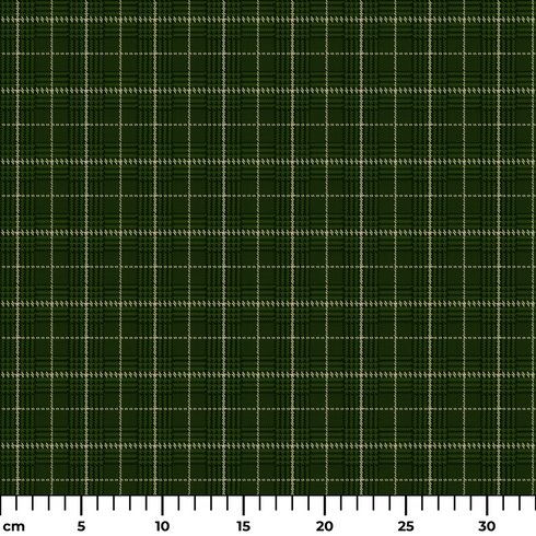 ruler cm