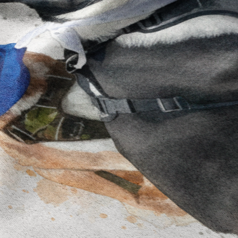 Dos perros acostados lado a lado, uno negro y blanco y otro marrón claro, con collares de colores. sutex blanket detail