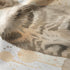 Tierno gatito atigrado acostado, ilustración acuarela con salpicaduras de color beige y tonos suaves. sutex blanket detail rotated