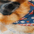 Un perro pastor alemán con un pañuelo azul con flores, ilustrado en acuarela sobre fondo naranja y azul. sutex blanket detail rotated
