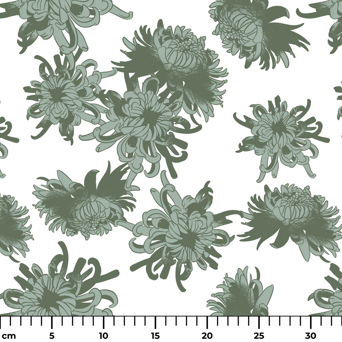Patrón de flores de crisantemo en tonos verde oliva y menta sobre fondo claro, diseño botánico elegante. ruler cm