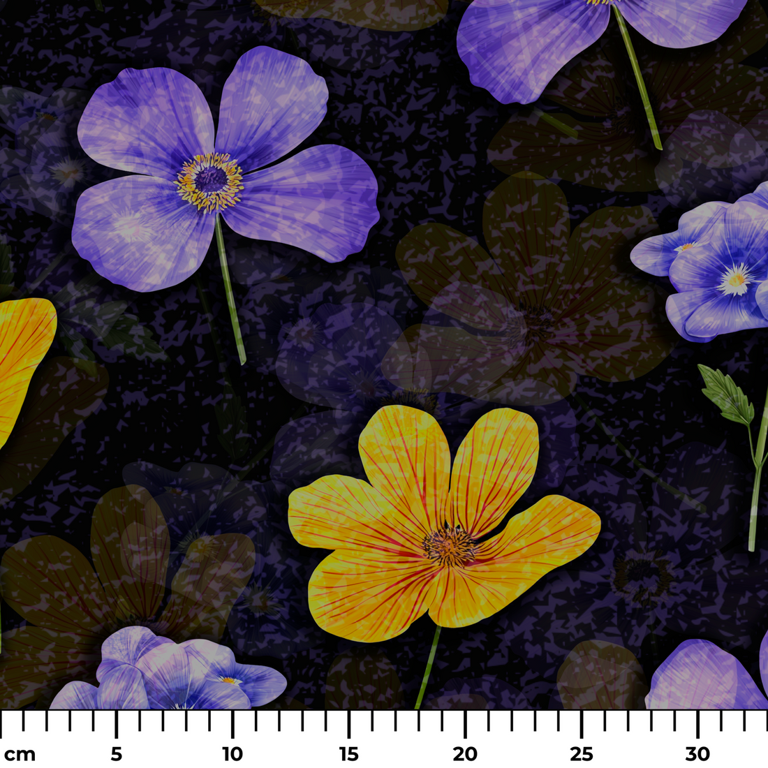  ruler cm