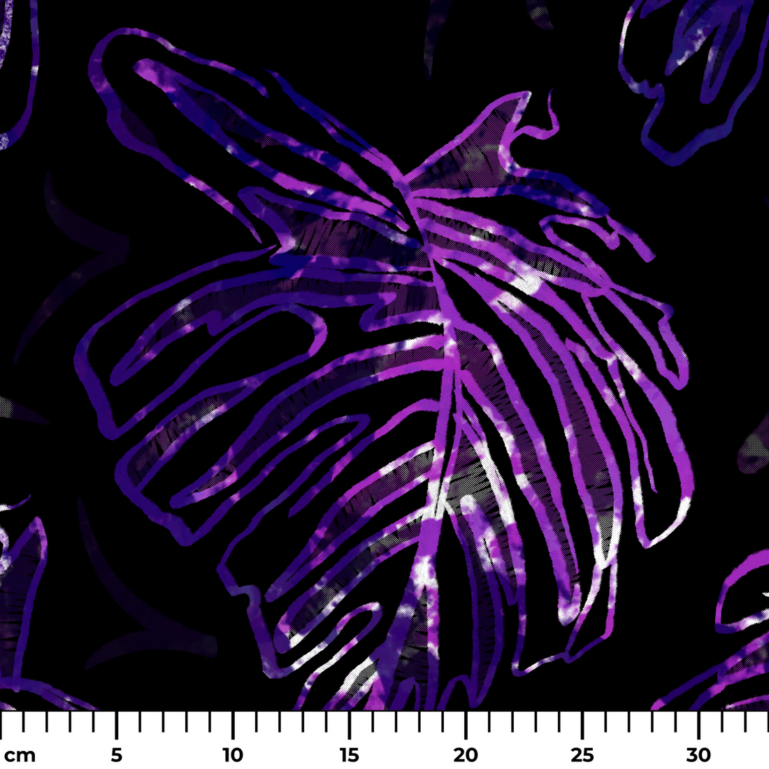  ruler cm
