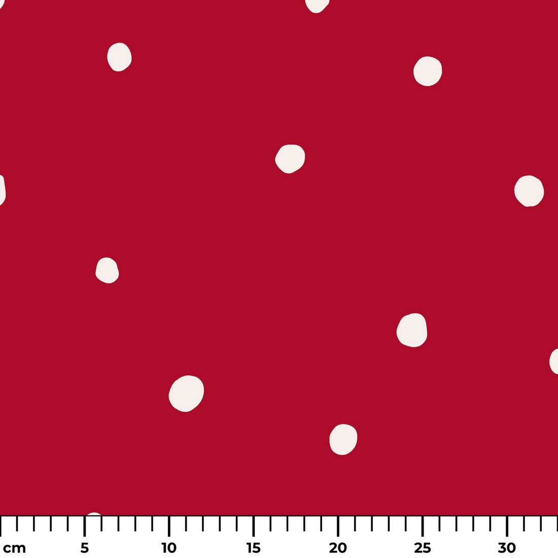  ruler cm