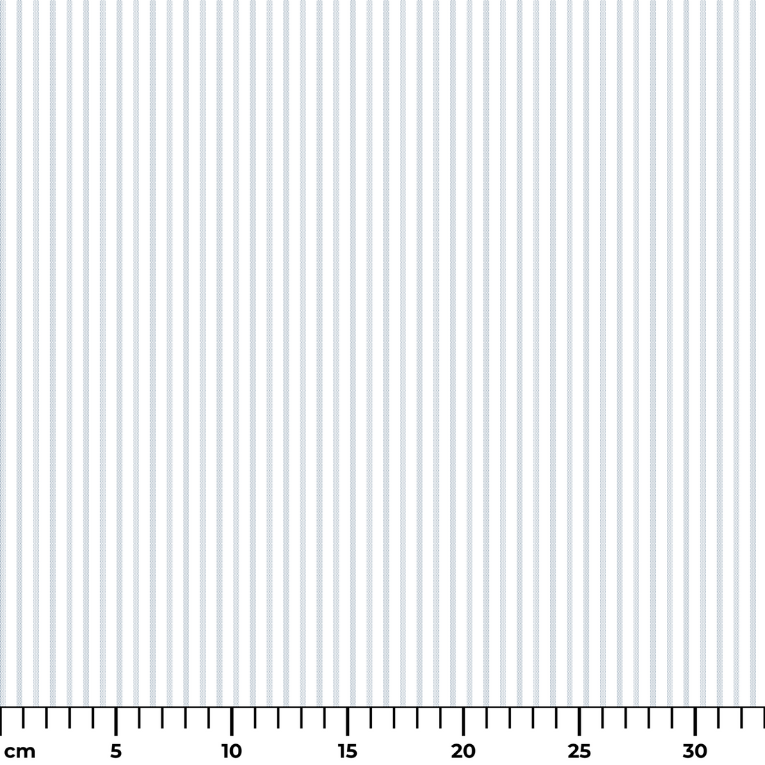  ruler cm
