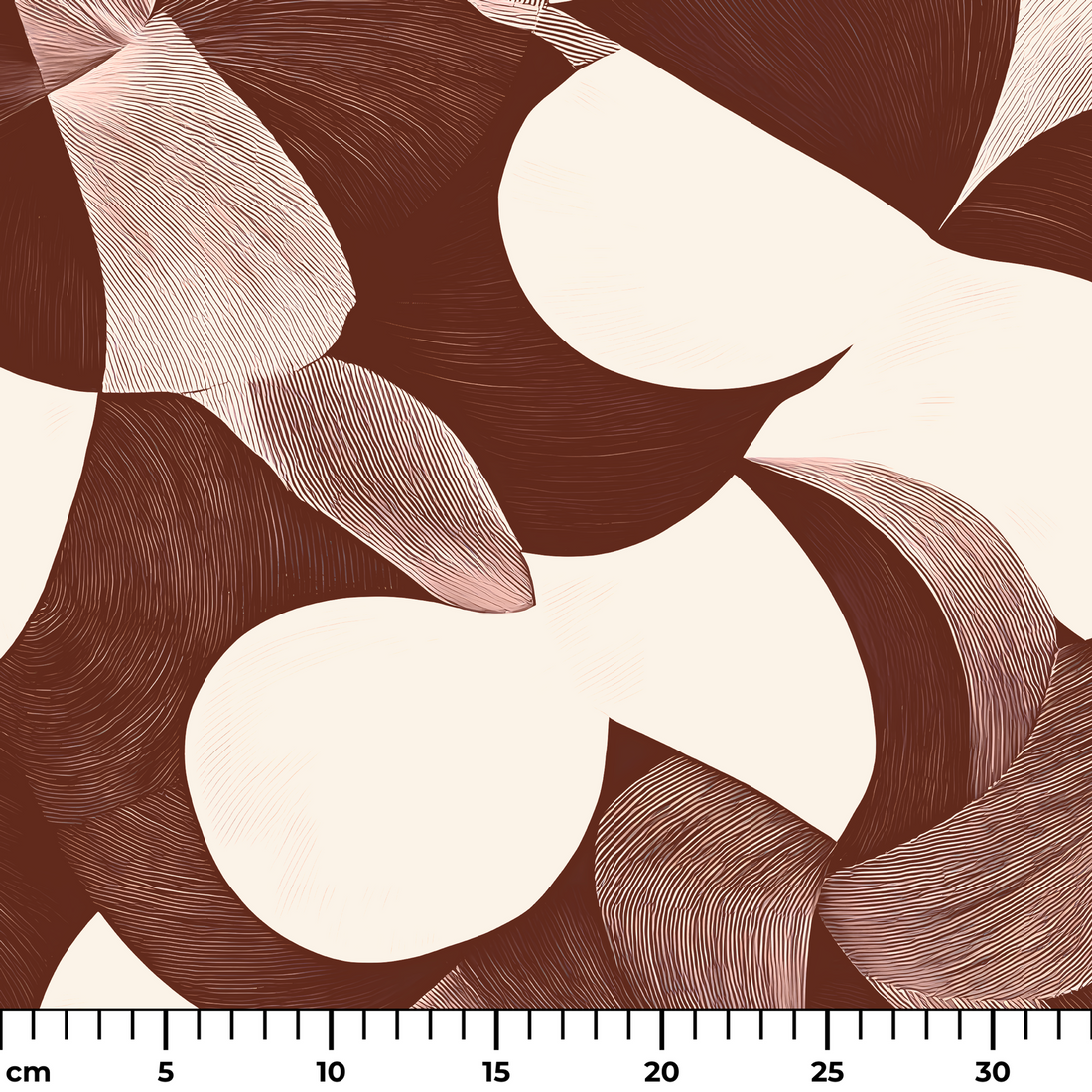  ruler cm