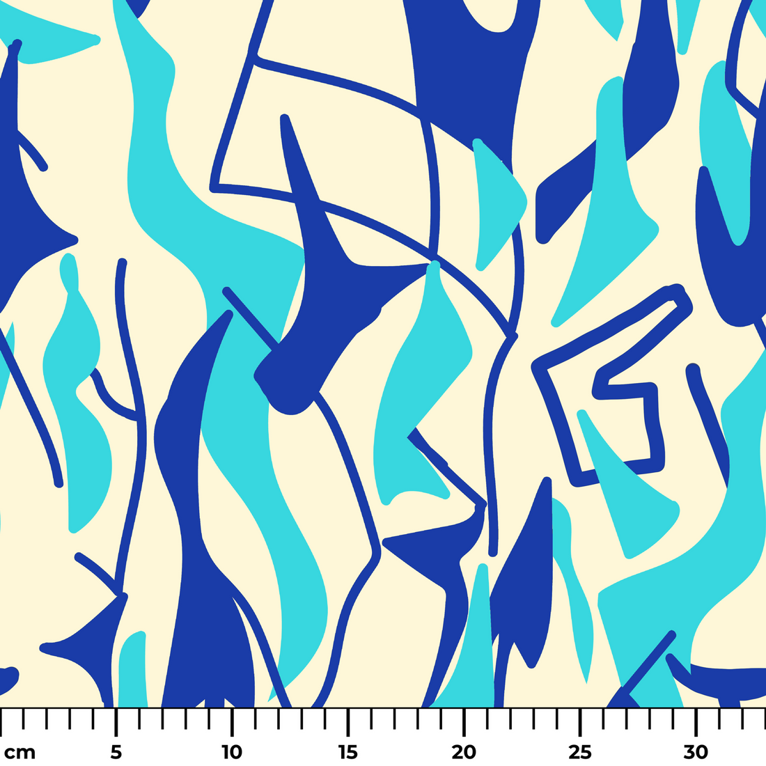  ruler cm