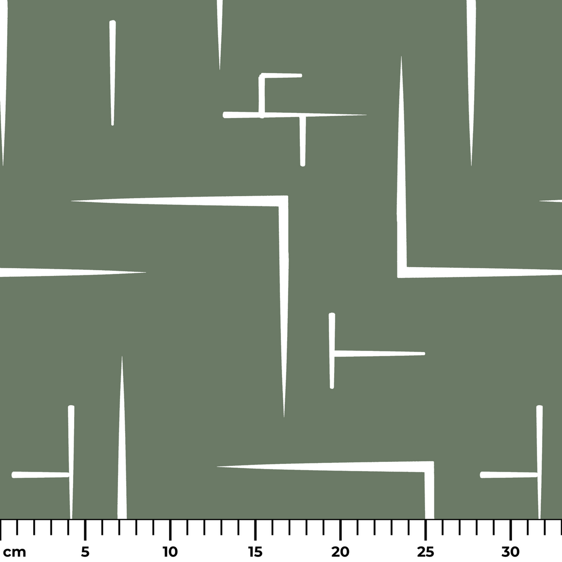  ruler cm