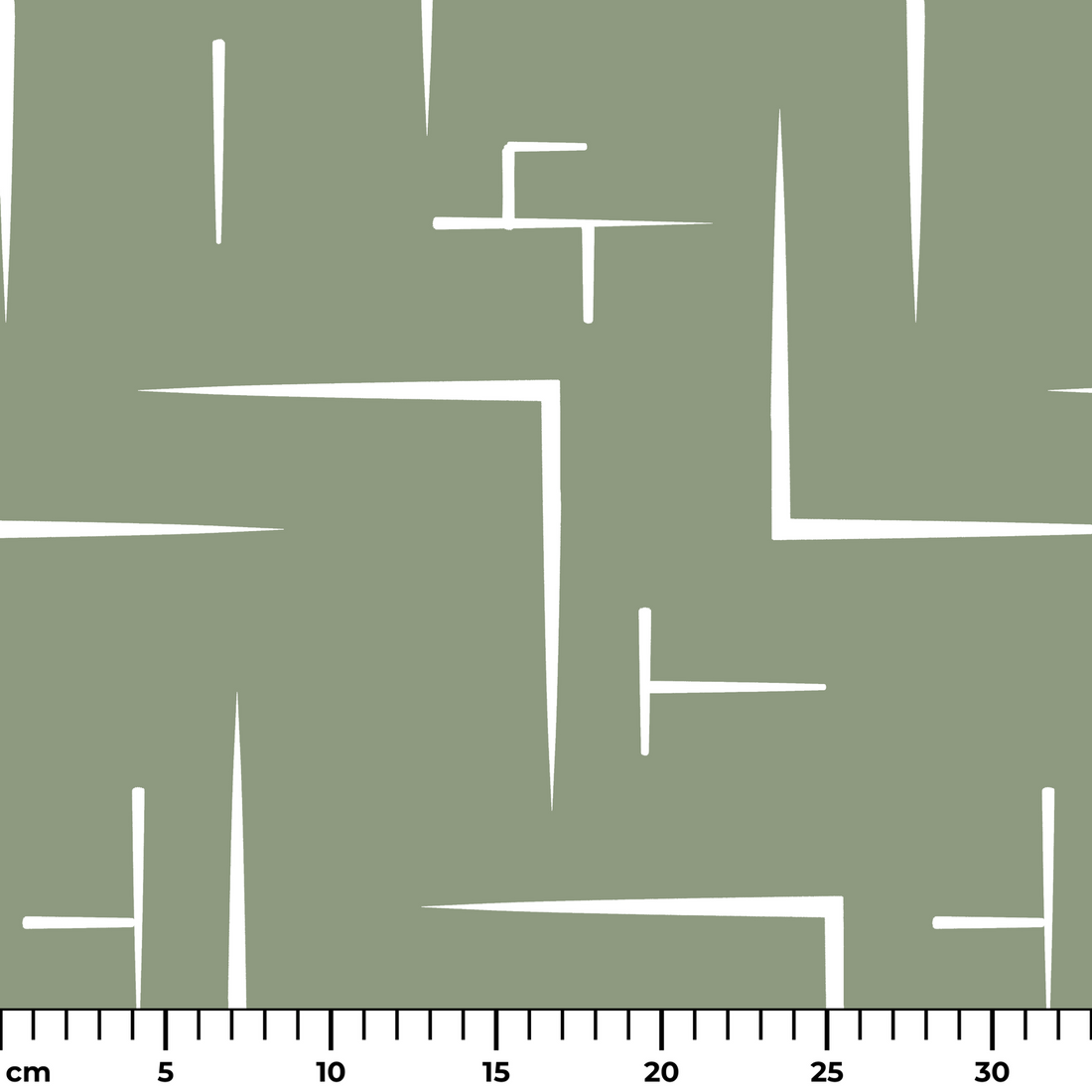  ruler cm