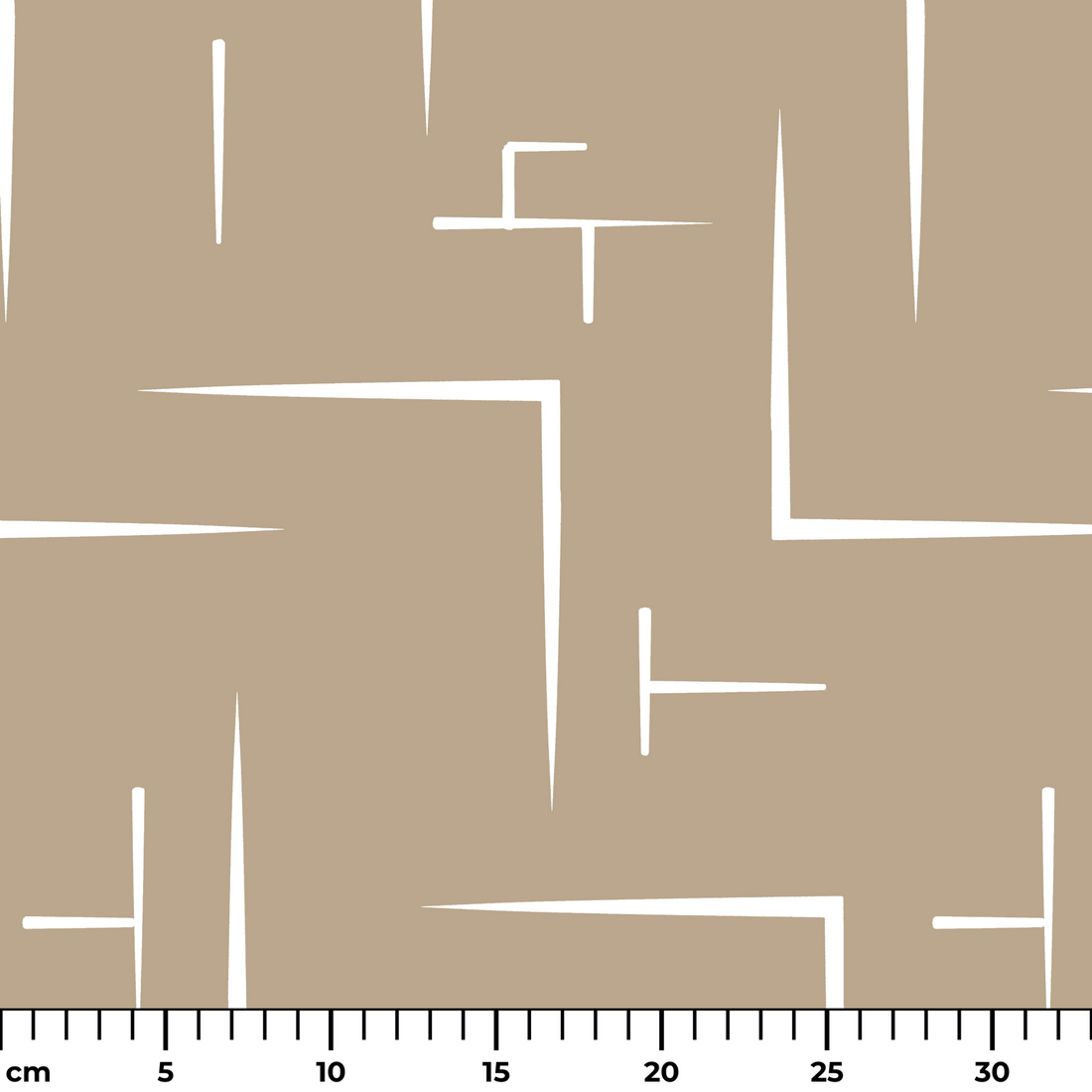  ruler cm