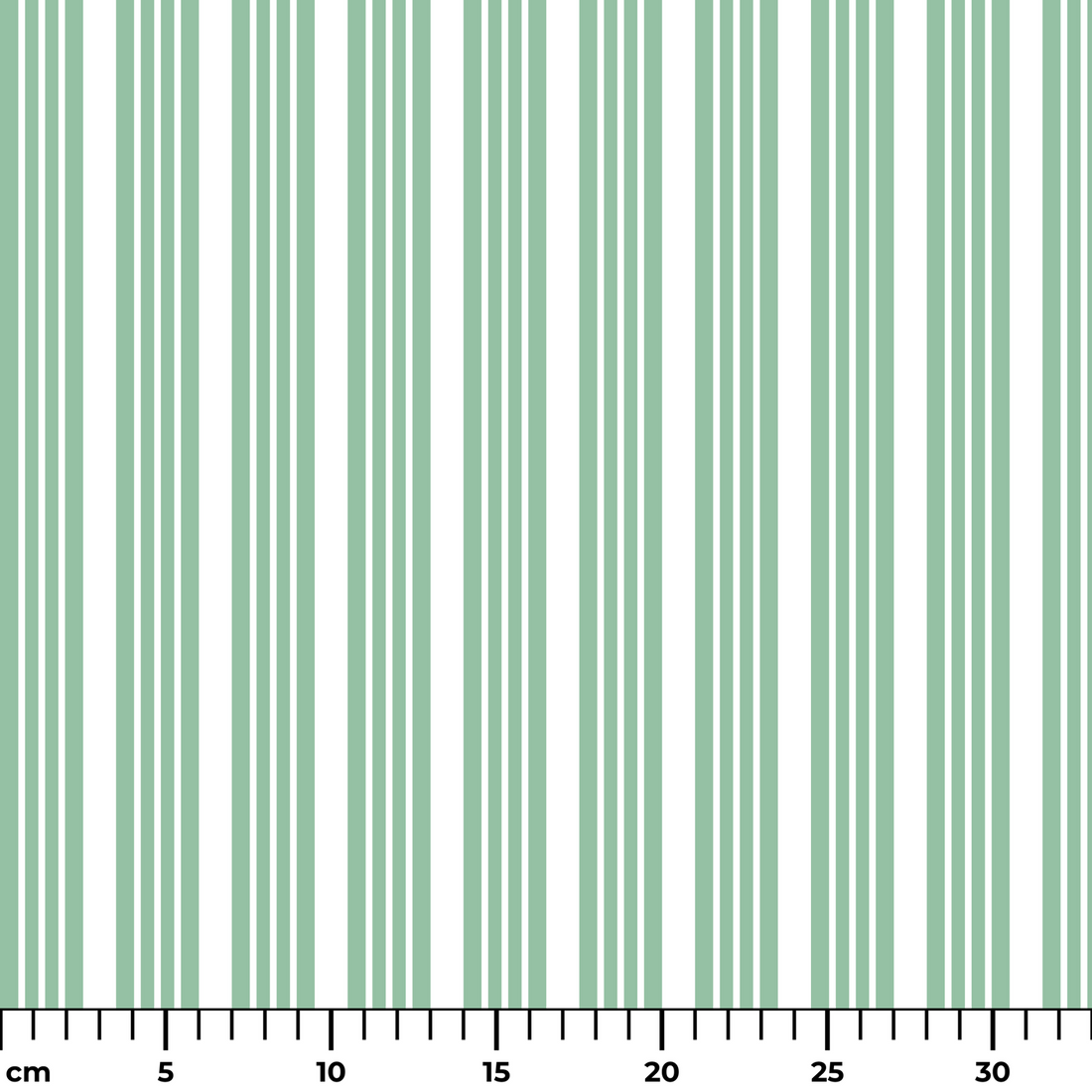  ruler cm