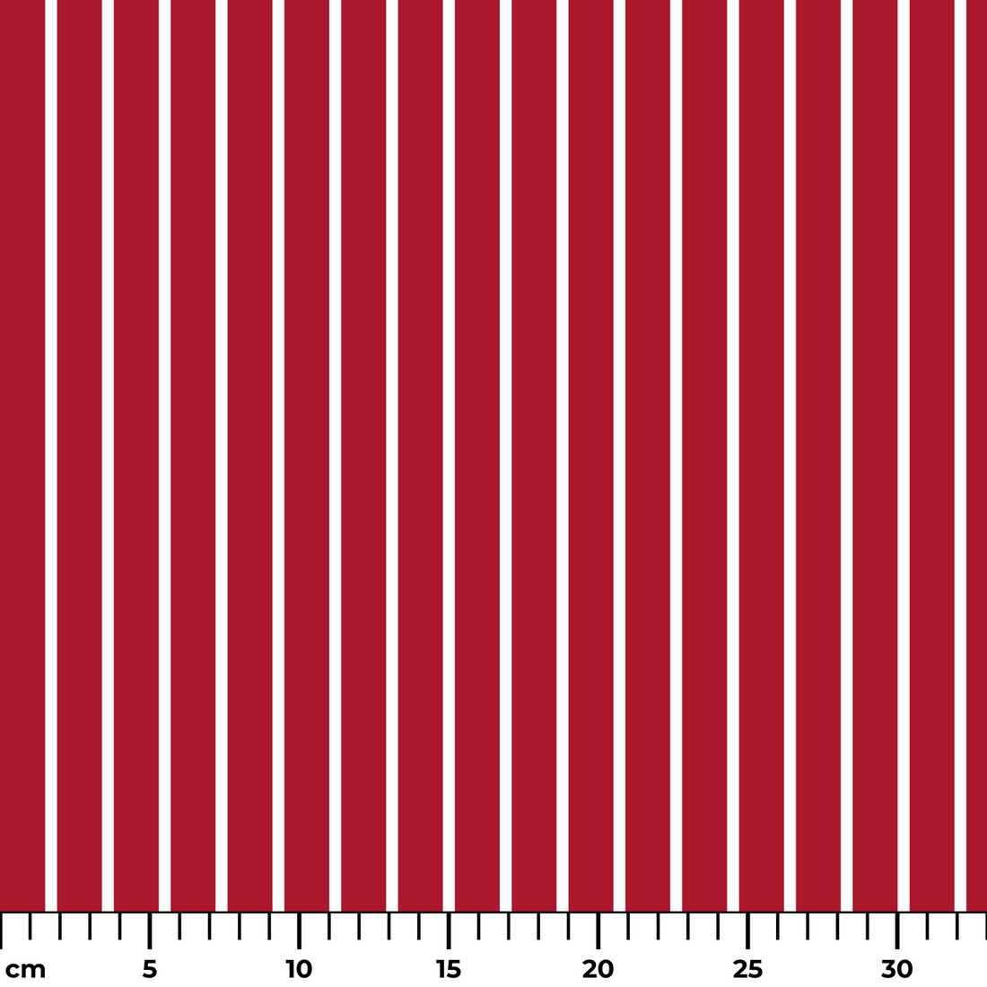  ruler cm