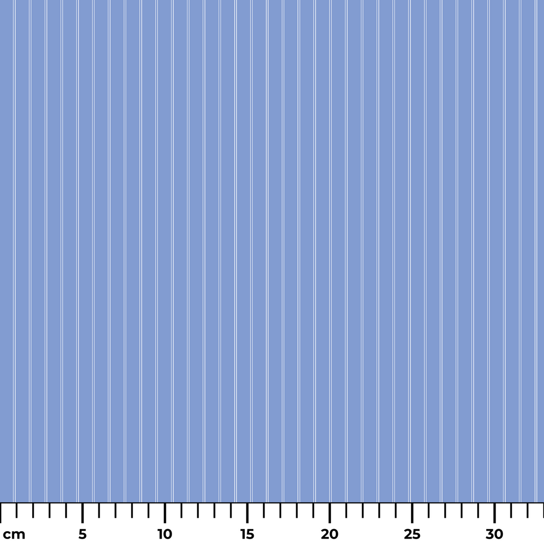  ruler cm