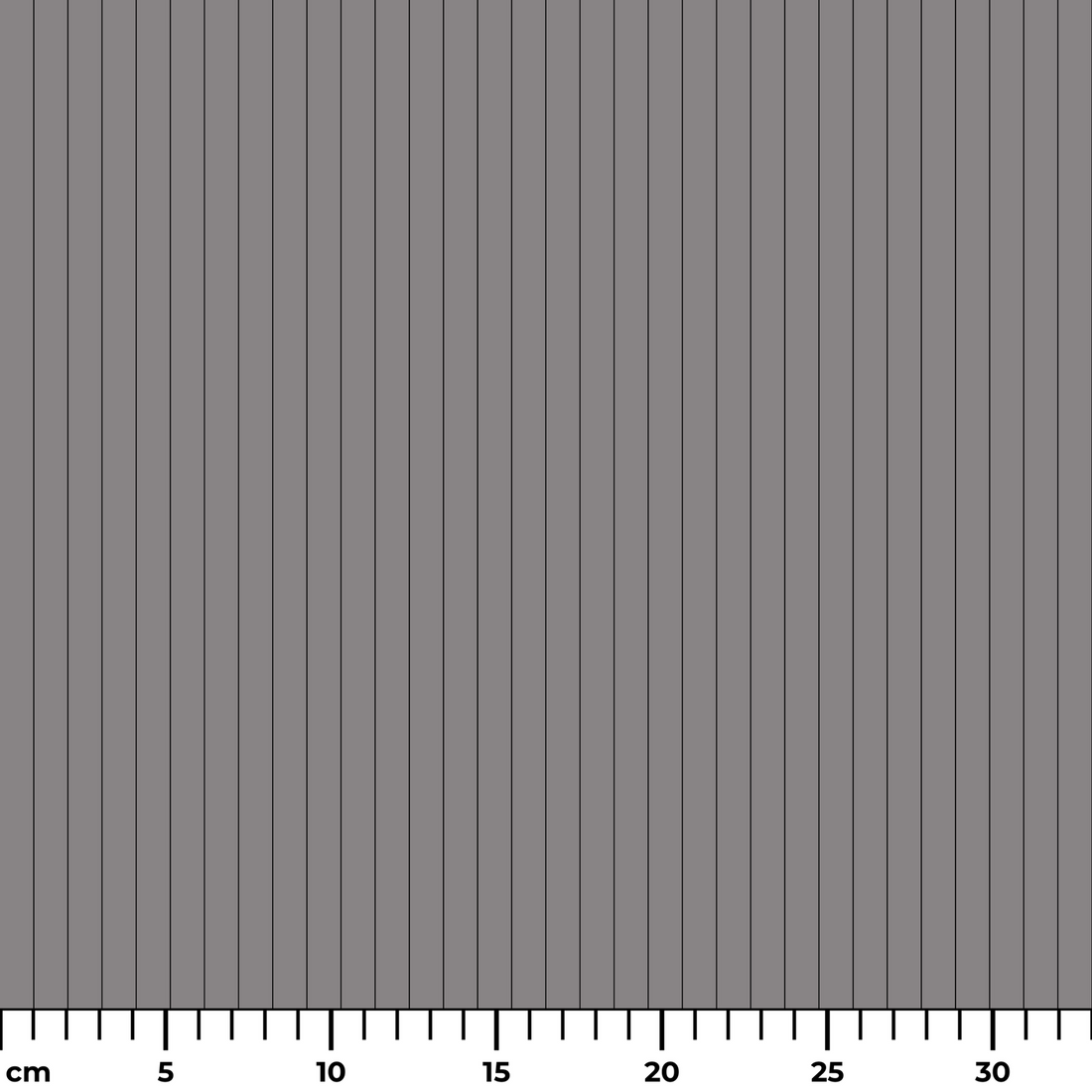  ruler cm