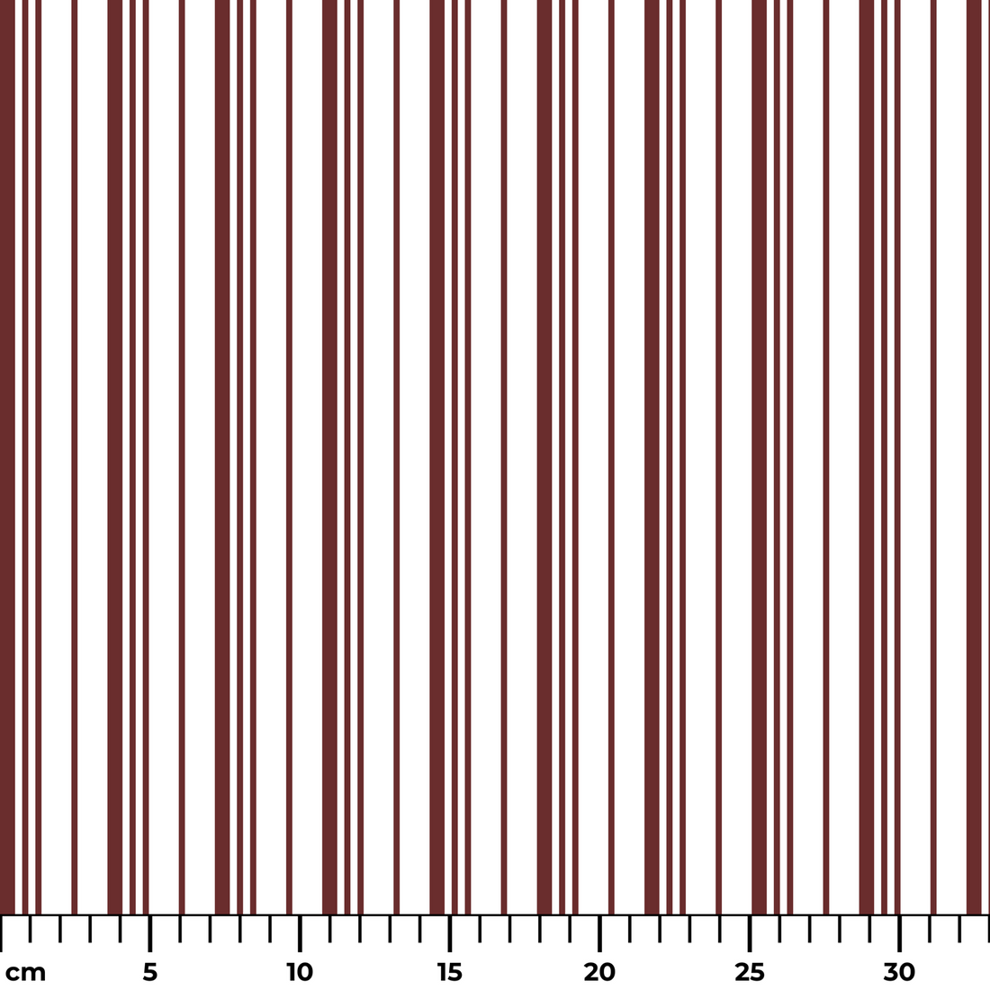  ruler cm