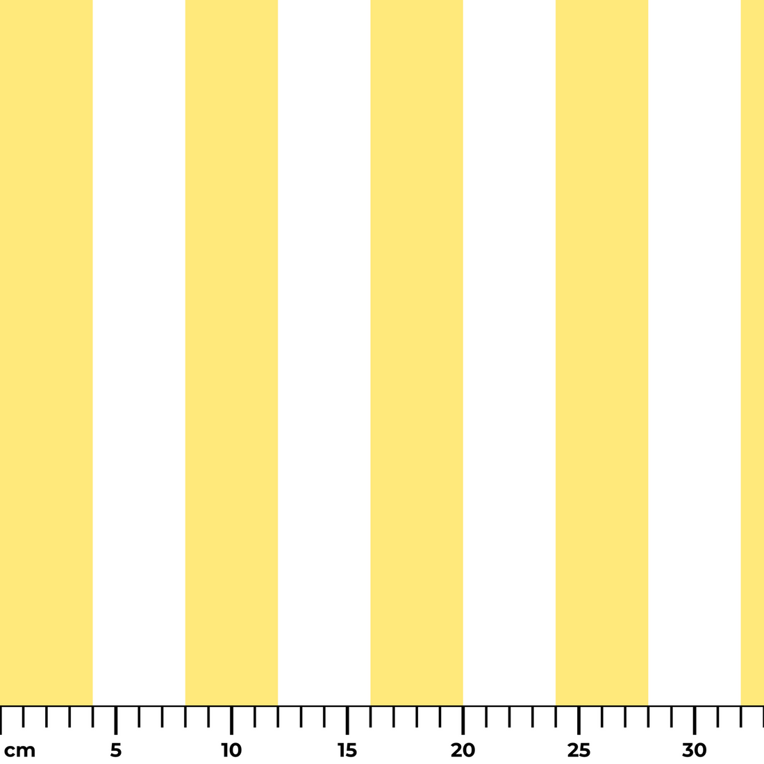  ruler cm