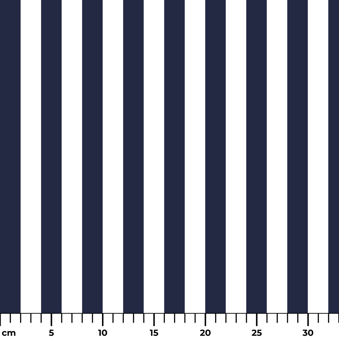  ruler cm