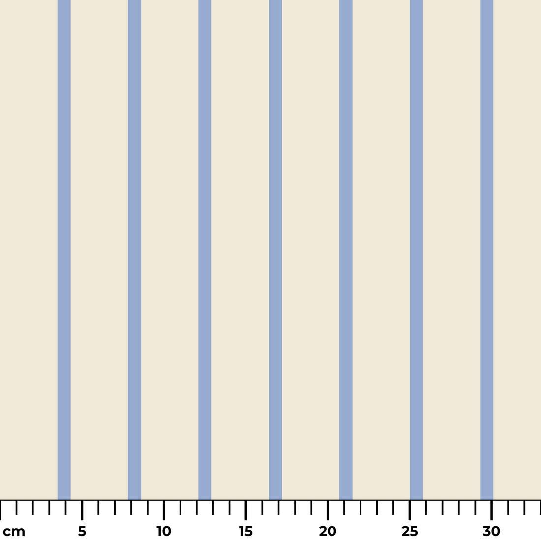  ruler cm