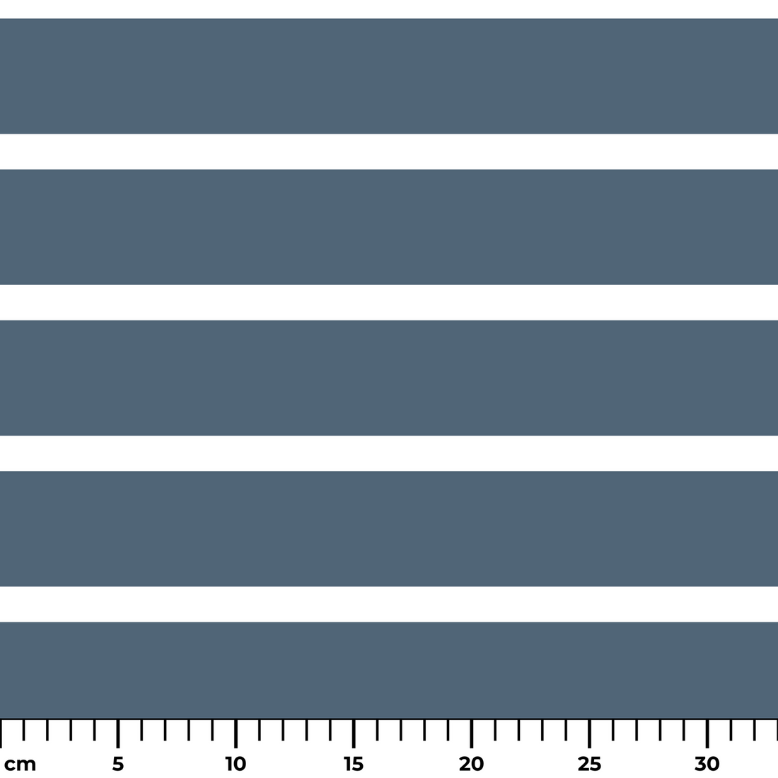  ruler cm