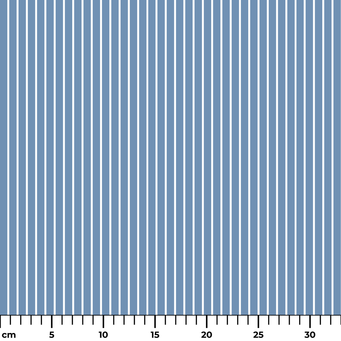  ruler cm