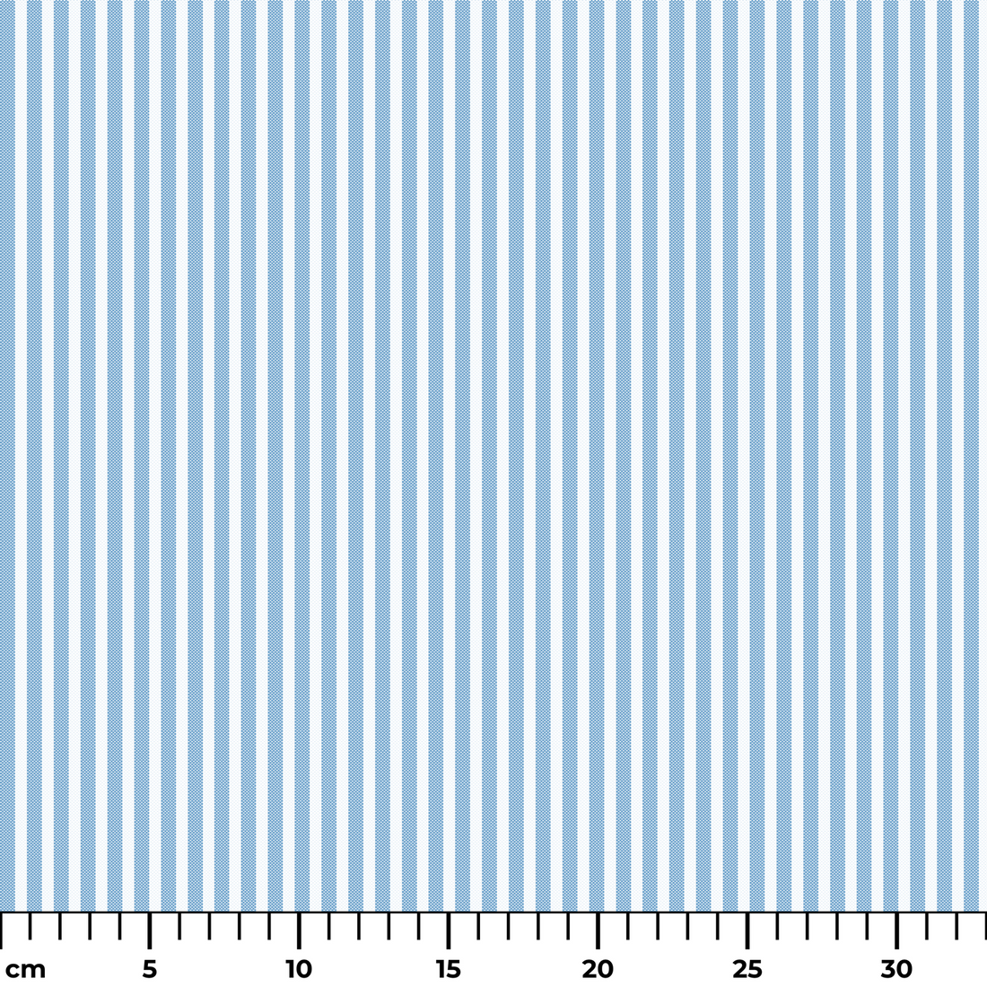  ruler cm