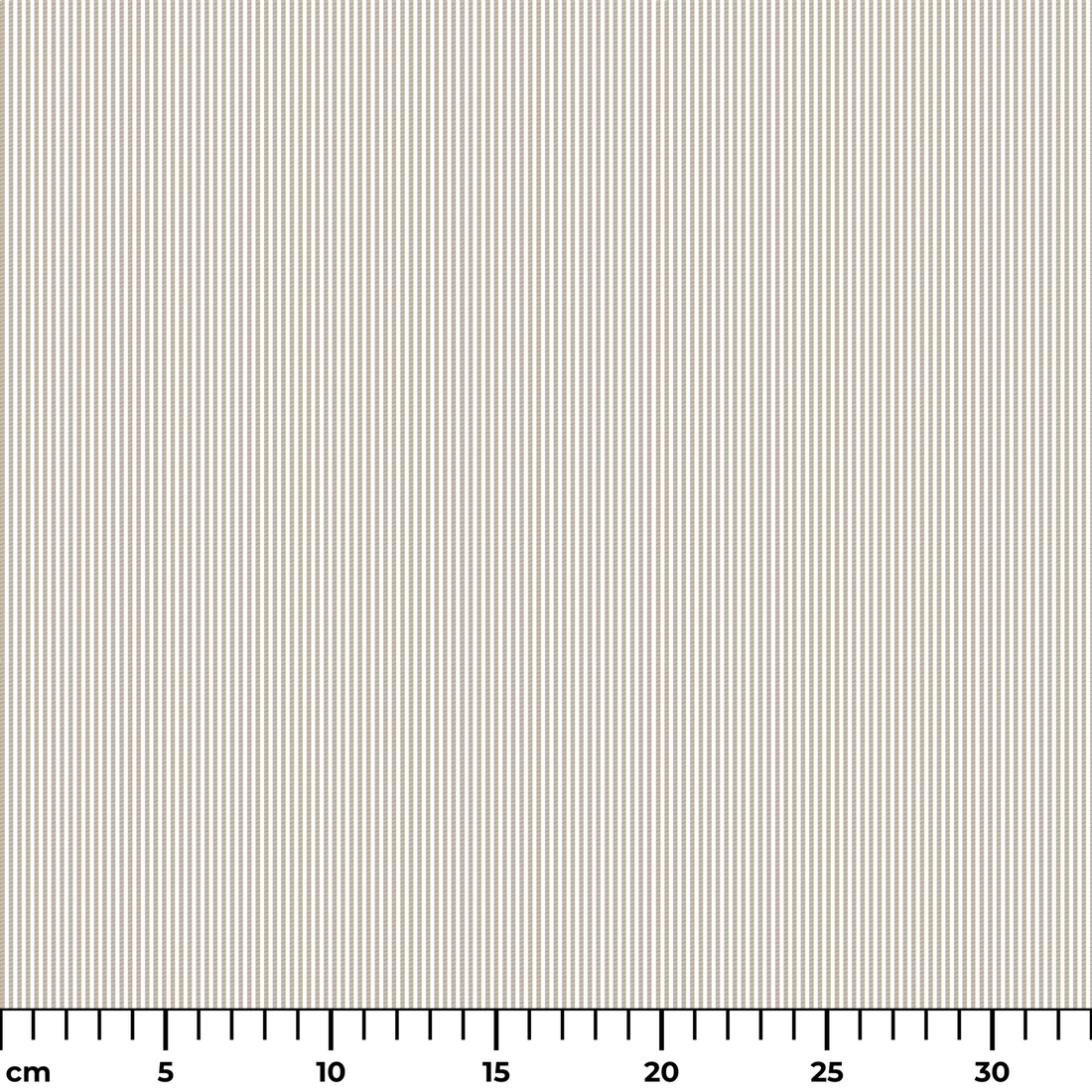  ruler cm