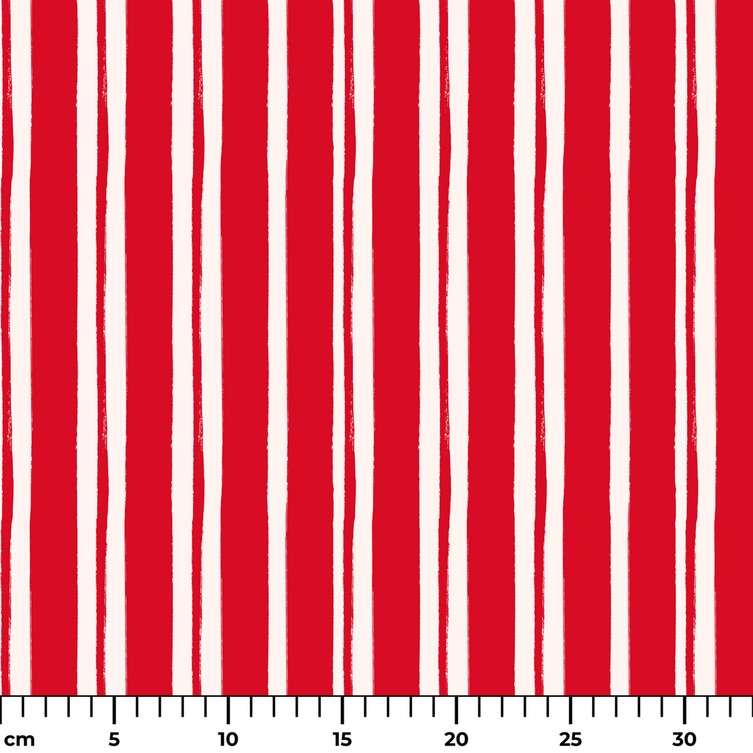  ruler cm