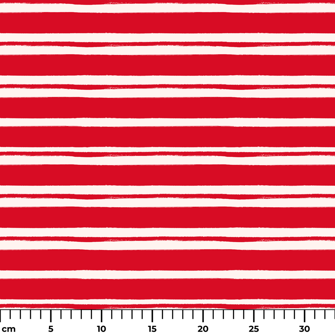  ruler cm