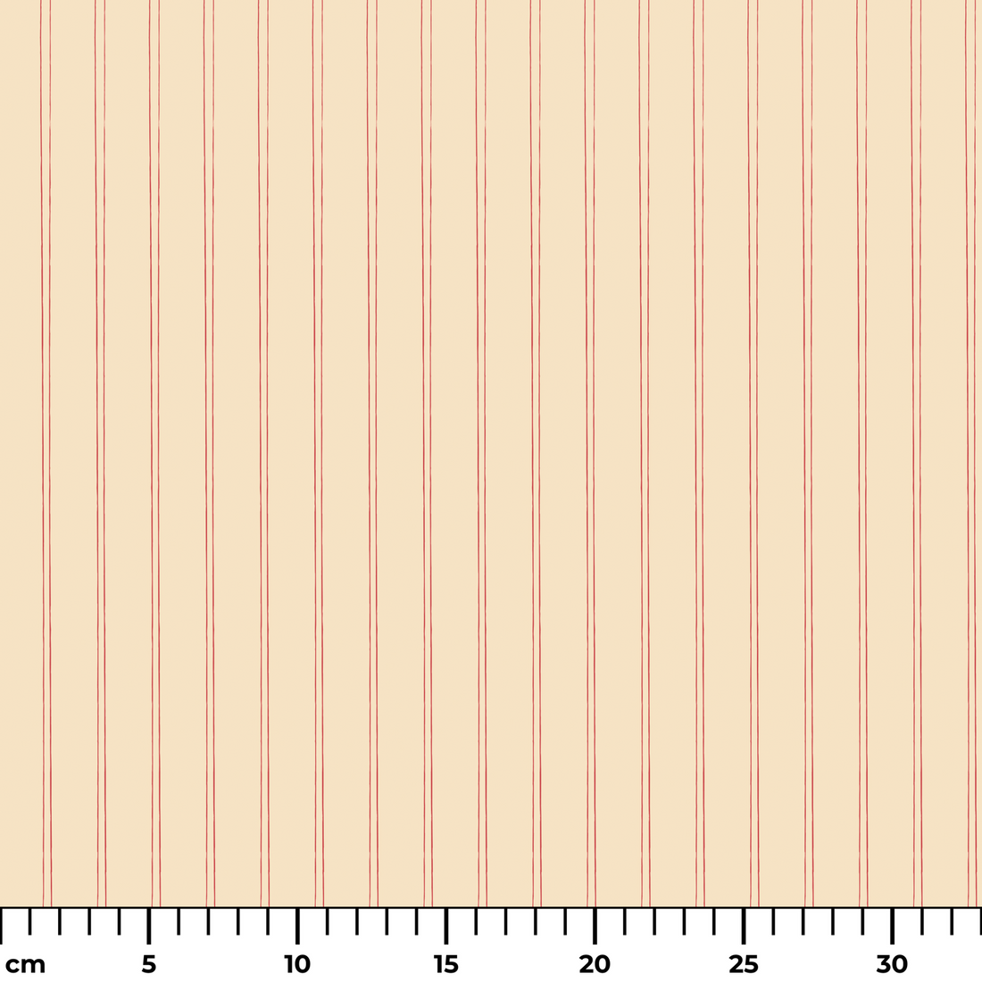  ruler cm
